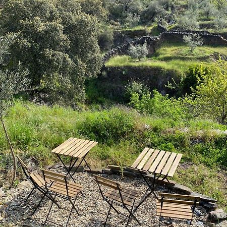 Casas Rurales Prunus Avium Caminomorisco Exterior foto